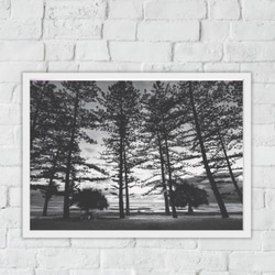 バーレーヘッズ 白黒 ポスター ビーチ モダン 部屋 インテリア おしゃれ 額絵 オーストラリア　A3サイズ　 3枚目の画像