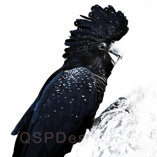 Masuo 鳥の絵画 黒フレーム 約30cm Masuo 鳥の絵画 黒フレーム 約30cm