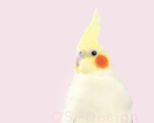 0_5b97a7ccd3c6d4c7f47bdf8b6ca3