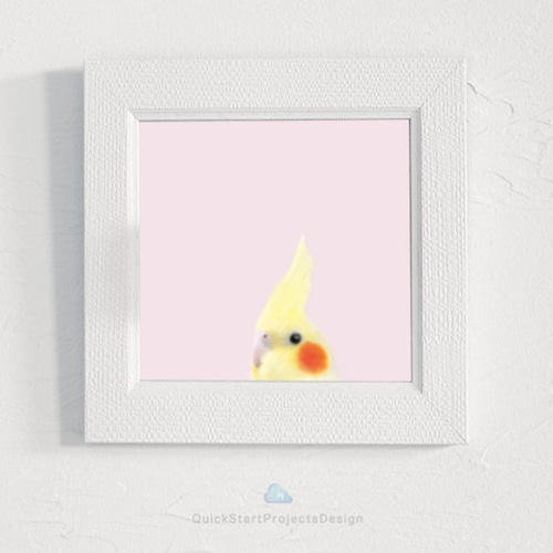 オカメインコ 鳥好きギフト 可愛い 部屋インテリア ウォールアート