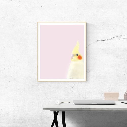 オカメインコ 鳥好きギフト 可愛い 部屋インテリア ウォールアート