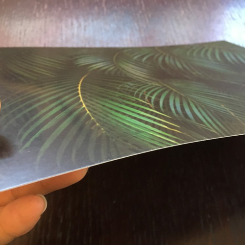 オカメインコ 鳥好きギフト 可愛い 部屋インテリア ウォールアート