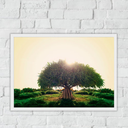 木と太陽　オージープランツ　日差し　メルヘンチック　ベッドルームリビング　部屋　インテリア　壁　デコ　A3サイズ 5枚目の画像