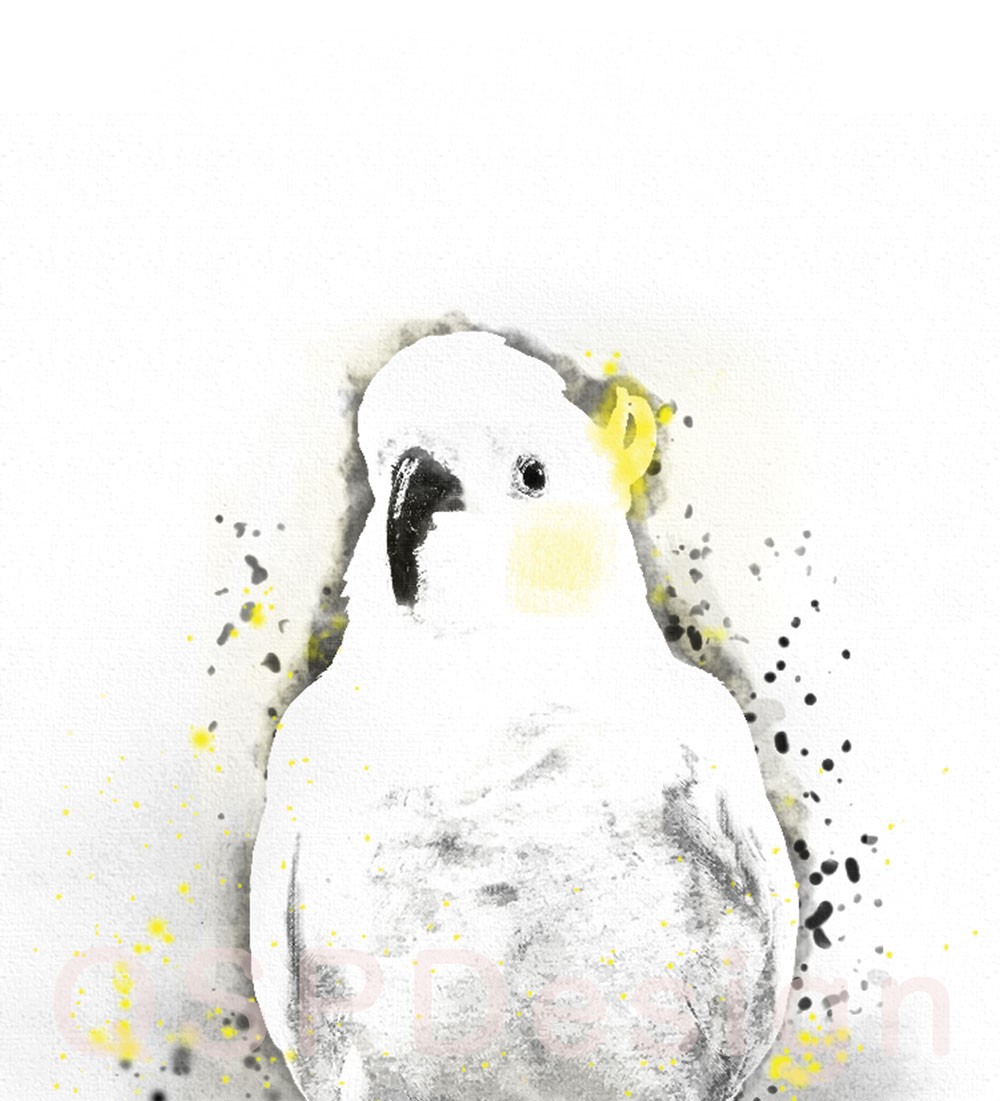 インコ　ヨウム　アクリル画　オリジナル制作　壁飾り インコ　ヨウム　アクリル画　オリジナル制作　壁飾り