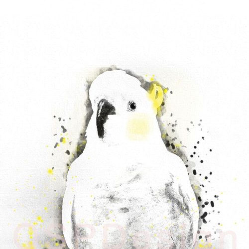 キバタン 水彩画風 壁アート 鳥オウムインコ ポートレート風 人気