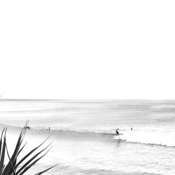 時尚藝術 3 件套衝浪海灘棕櫚避暑勝地黑白超值現代 A3 尺寸鯛魚酷 第3張的照片