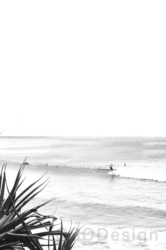 時尚藝術 3 件套衝浪海灘棕櫚避暑勝地黑白超值現代 A3 尺寸鯛魚酷 第3張的照片