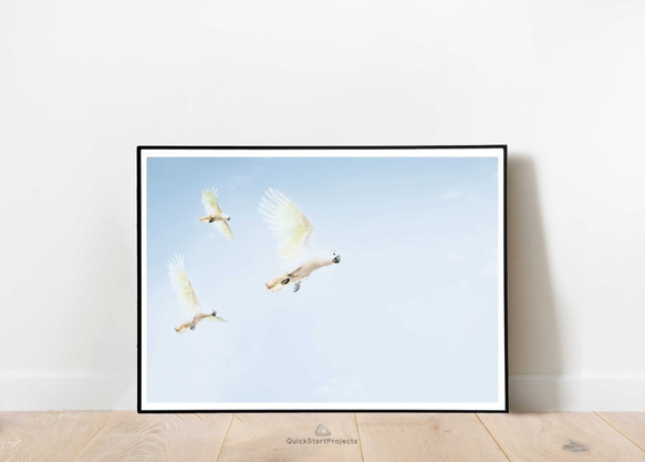 ３羽のキバタンが飛んでいるポスター ミニマリストモダン 部屋 インテリア シンプル おしゃれ A3サイズ 鳥オウム野鳥 2枚目の画像