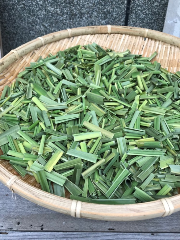 送料無料！無農薬野草茶　焙煎まこも茶　15gｘ2袋 2枚目の画像