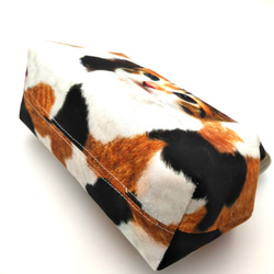 貓 ◇ 2way gamaguchi pouch with 內罐 15.5cm ◇ Calico cat 第6張的照片