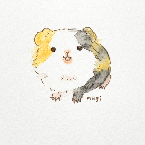 お家のモルモットちゃん オーダー水彩画ミニミニイラスト 絵画 mugi 