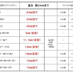  第5張的照片