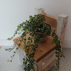 ちょっとシャビーなチェア型プランツ台 1枚目の画像