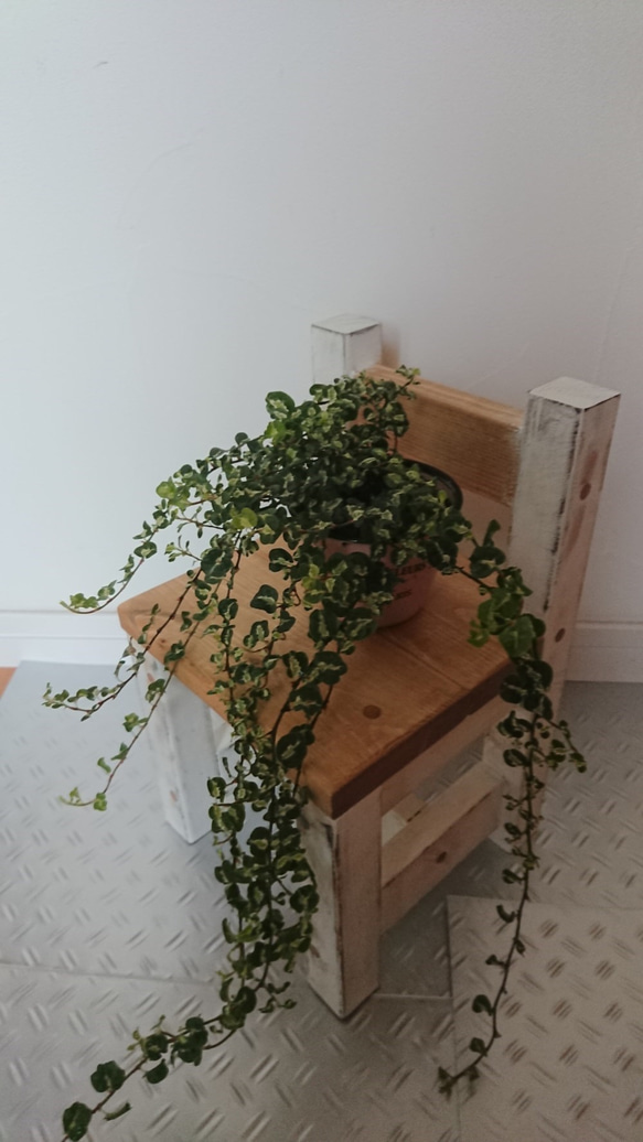 ちょっとシャビーなチェア型プランツ台 1枚目の画像