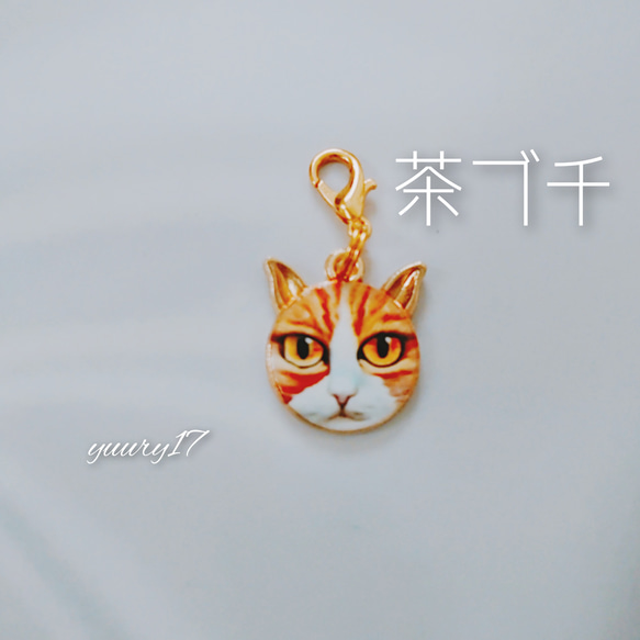 【茶ブチ】猫顔のファスナーチャーム 1枚目の画像