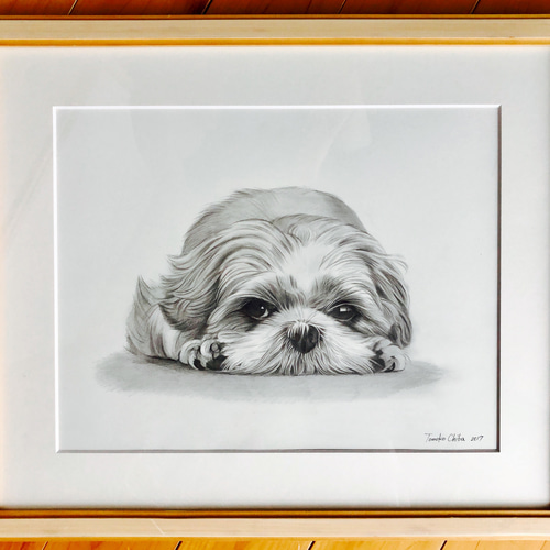 色鉛筆画 犬No.10（黒柴犬） - メルカリ
