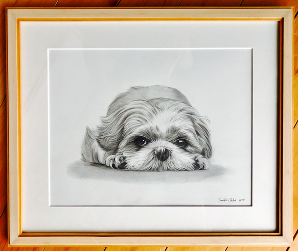 鉛筆画 一点もの原画 サイズF6 犬シーズー 絵画 saika 通販 鉛筆画 一点もの原画 サイズF6 犬シーズー 絵画 saika 通販