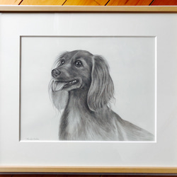 鉛筆画 犬 高級額縁つき 爆買いしたくなる 鉛筆画 高級額縁つき 犬 絵画 - 絵画