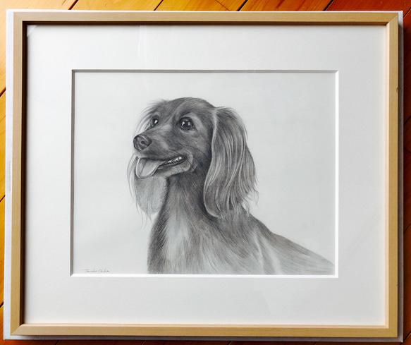 鉛筆画 一点もの原画 サイズF6 ダックスフンド 犬 絵画 saika