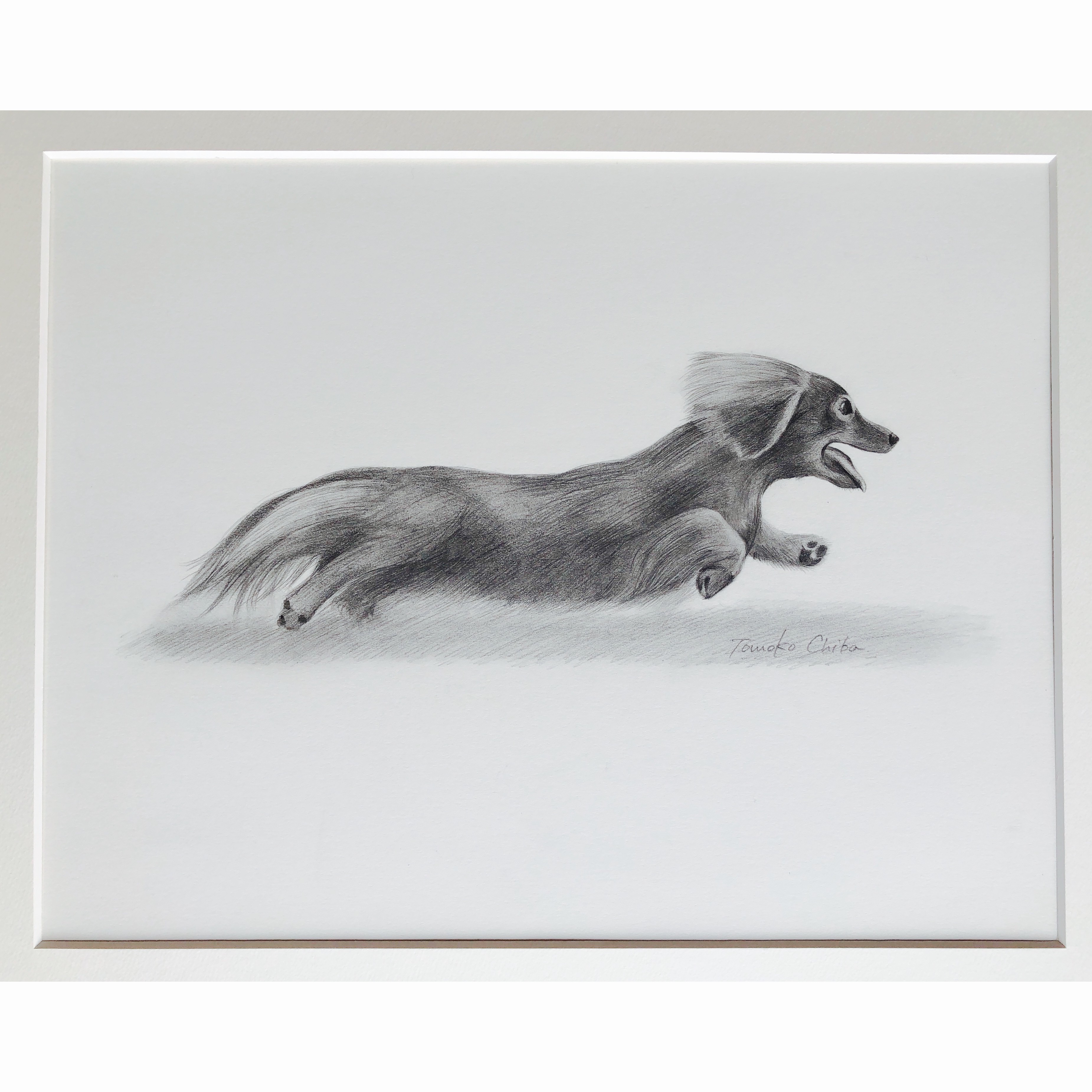 鉛筆画 一点もの原画 F6 走るミニチュアダックスフント 犬 絵画 鉛筆画 一点もの原画 F6 走るミニチュアダックスフント 犬 絵画