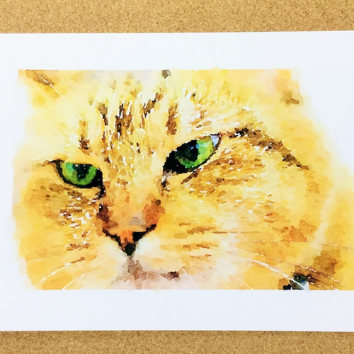 3枚セット ねこの顔アップ A4 ポスター 印刷 絵画 suzuki 通販 7268984