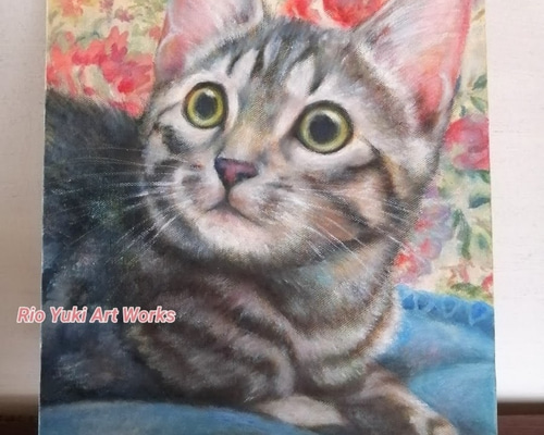 毛布の上で寛ぐ猫の絵 油絵原画「Residence」 絵画 Rio Yuki 通販