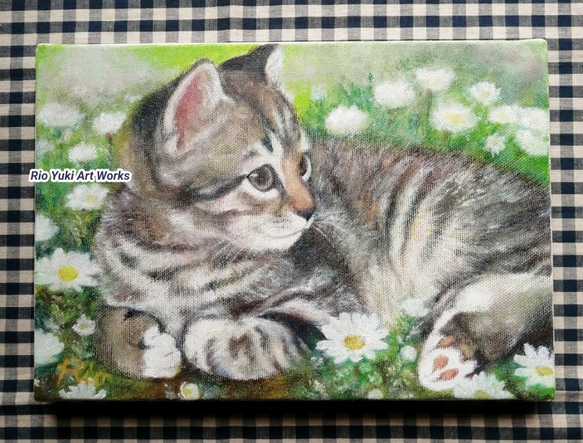 子猫とノースポールの花畑の絵 油絵原画「Snow daisy」 絵画 Rio Yuki