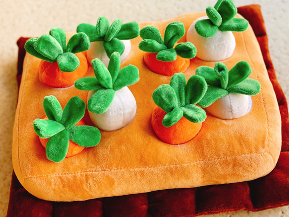 入荷❤︎ 野菜畑 にんじん4本＋大根4本 ノーズワーク 収穫