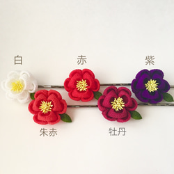  第4張的照片