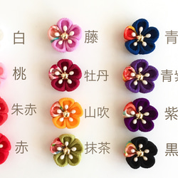  第4張的照片