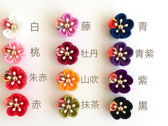  第4張的照片