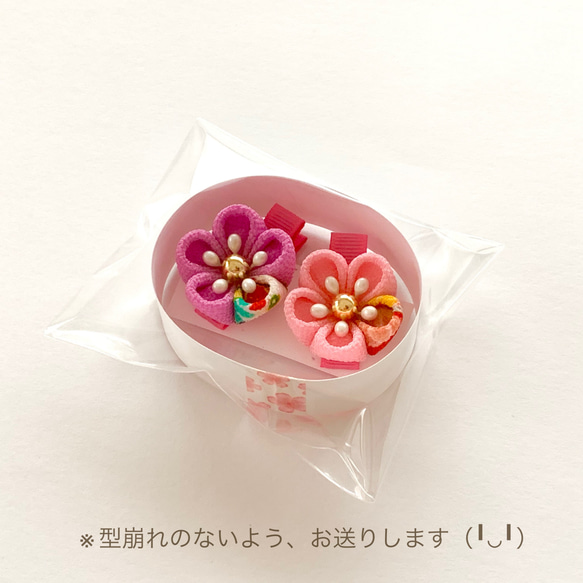  第9張的照片