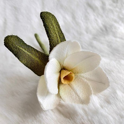 オーストリッチ フェザーコサージュ オフホワイト コサージュ