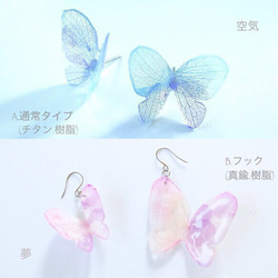 pierce/earring...ちょうちょ（大）／apres la pluie 3枚目の画像