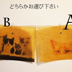 ワックスペーパー　ブックカバー　1枚【猫ソノタver.】 2枚目の画像