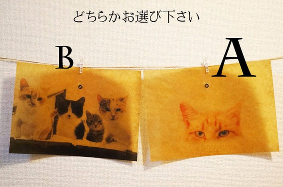 ワックスペーパー　ブックカバー　1枚【猫ソノタver.】 2枚目の画像