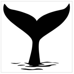 カッティングシート イルカ クジラ 尻尾 サーフ ステッカー 車外アクセサリー 1枚目の画像