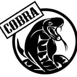 カッティングシート コブラ 蛇 COBRA トライバル ステッカー 丸型 1枚目の画像