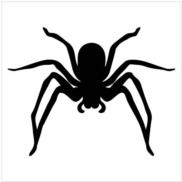4枚セット 「ガイコツ&蜘蛛」 ステッカー  カッティングシート ロック 6枚目の画像