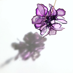 《 BLOSSOM 》NO.1- Purple Blooming 第4張的照片