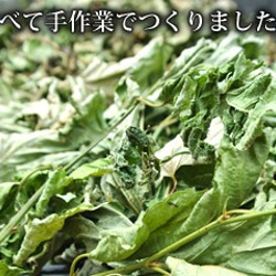 毎日の健康を支える、無農薬、無肥料の野草を100%手摘みした「仙人茶」（単品） 5枚目の画像