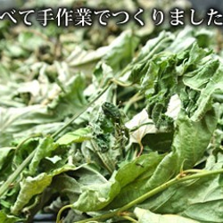 （2袋）毎日の健康を支える、無農薬、無肥料の野草を100%手摘みした「仙人茶」 5枚目の画像