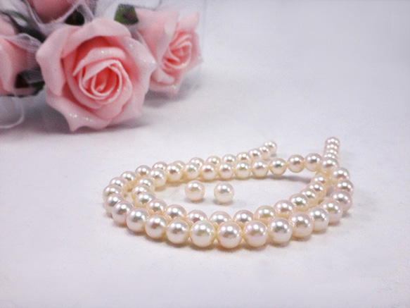 再販】パール アコヤ真珠 ルース 粒売り 5.5～6mm ホワイト  