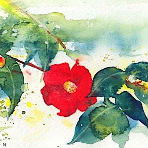 ヤブツバキ 絵画 向井靖子 通販 8612922｜Creema(クリーマ
