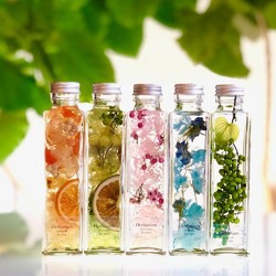 植物標本 液体標本 スノードーム ハーバリウム スモークツリー プリザーブド 植物標本 液体標本 スノードーム ハーバリウム スモークツリー