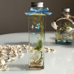 スノードームハーバリウム（雪＆可愛い実） ハーバリウム・植物標本 La
