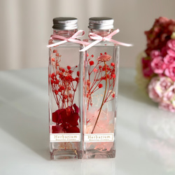 スノードームハーバリウム（雪＆可愛い実） ハーバリウム・植物標本 La