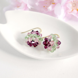 多糖果耳環[淡Moegi×薄紅紫色×]在洛世奇（1.5厘米）耳環被改變 第3張的照片
