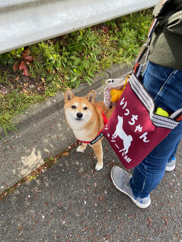 【さんぽ袋】ネット販売開始の特注品です。ワンちゃんショルダーバッグ！カラープリント自由の完全オーダー！ 12枚目の画像