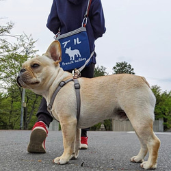 【さんぽ袋】ワンちゃんプリントのサッコッシュバッグ！カラープリント自由の完全オーダー！ 9枚目の画像